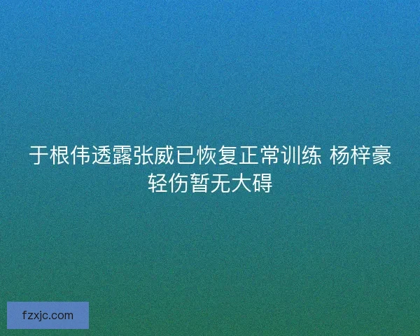 于根伟透露张威已恢复正常训练 杨梓豪轻伤暂无大碍 于根伟透露张威已恢复正常训练 杨梓豪轻伤暂无大碍