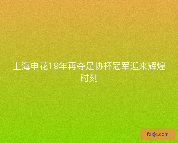 上海申花19年再夺足协杯冠军迎来辉煌时刻