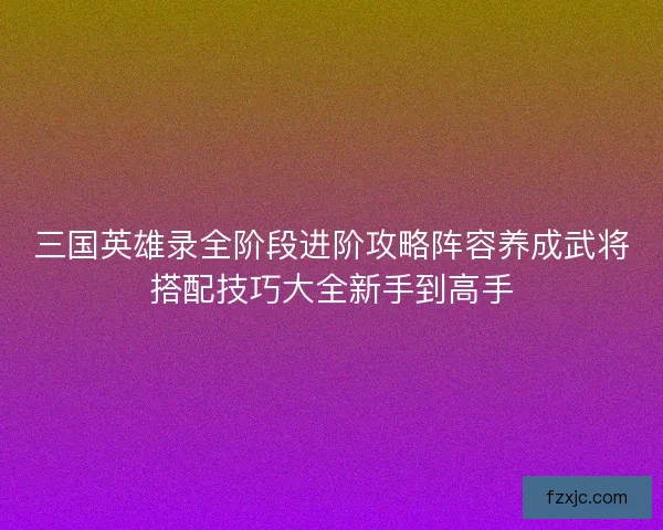 三国英雄录全阶段进阶攻略阵容养成武将搭配技巧大全新手到高手