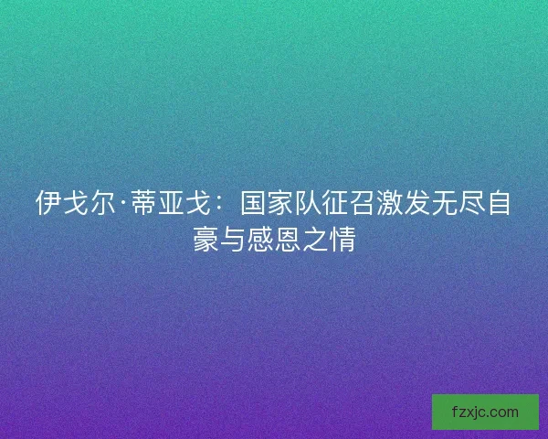 伊戈尔·蒂亚戈:国家队征召激发无尽自豪与感恩之情 伊戈尔·蒂亚戈:国家队征召激发无尽自豪与感恩之情