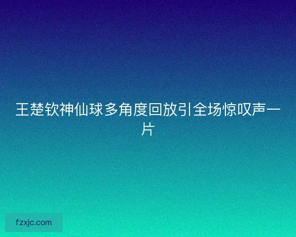 王楚钦神仙球多角度回放引全场惊叹声一片 王楚钦神仙球多角度回放引全场惊叹声一片